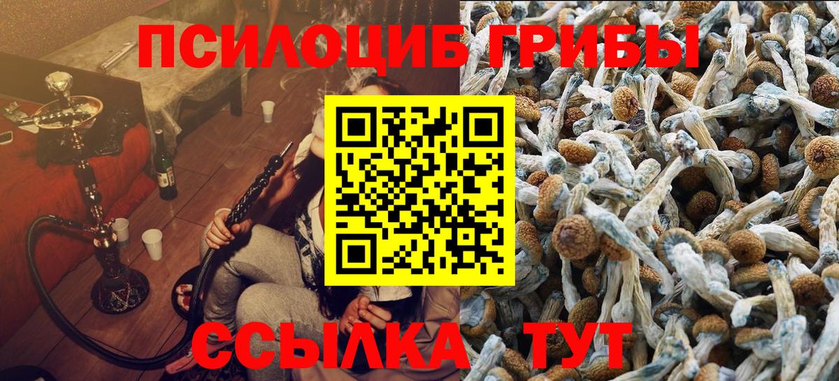 Псилоцибиновые грибы MAGIC MUSHROOMS Сыктывкар