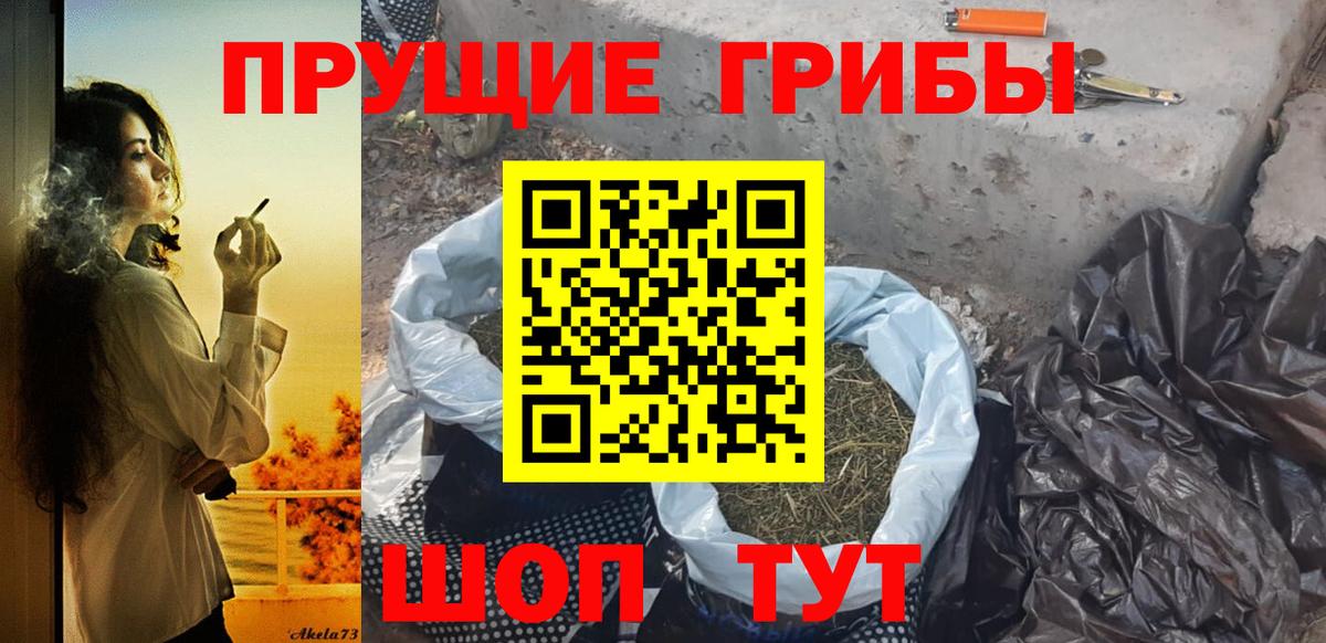 Сыктывкар  Галлюциногенные грибы Magic Shrooms  Вход с VPN  Псилоцибиновые грибы GOLDEN TEACHER 